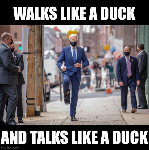 China Joe Biden, a very strange man! | WALKS LIKE A DUCK; AND TALKS LIKE A DUCK | image tagged in joe biden,creepy joe biden,democrat party,election 2020,election fraud,democratic socialism | made w/ Imgflip meme maker