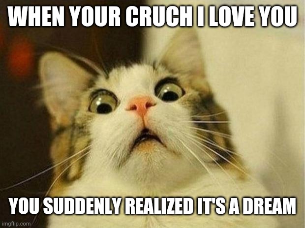 Scared Cat | WHEN YOUR CRUCH I LOVE YOU; YOU SUDDENLY REALIZED IT'S A DREAM | image tagged in memes,scared cat | made w/ Imgflip meme maker