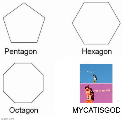 CAT??? | MYCATISGOD | image tagged in memes,pentagon hexagon octagon | made w/ Imgflip meme maker