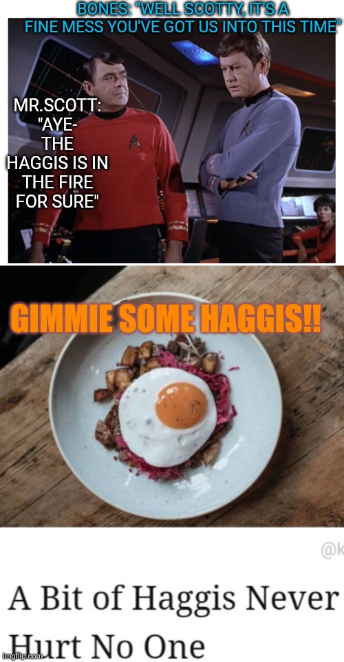 Scotty does haggis | BONES: "WELL SCOTTY, IT'S A FINE MESS YOU'VE GOT US INTO THIS TIME"; MR.SCOTT: "AYE- THE HAGGIS IS IN THE FIRE FOR SURE"; GIMMIE SOME HAGGIS!! | image tagged in star trek,original,series | made w/ Imgflip meme maker