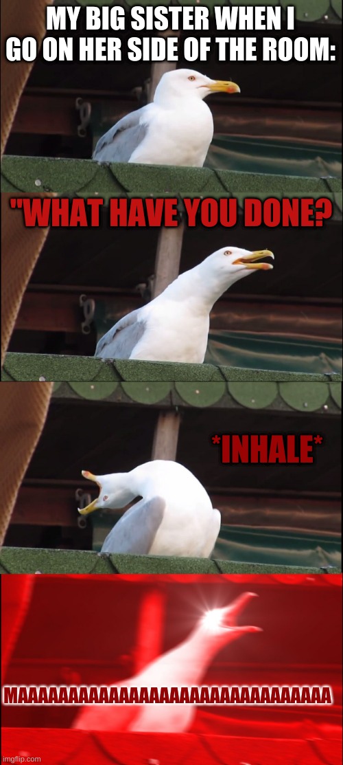 Inhaling Seagull | MY BIG SISTER WHEN I GO ON HER SIDE OF THE ROOM:; "WHAT HAVE YOU DONE? *INHALE*; MAAAAAAAAAAAAAAAAAAAAAAAAAAAAAAA | image tagged in memes,inhaling seagull | made w/ Imgflip meme maker