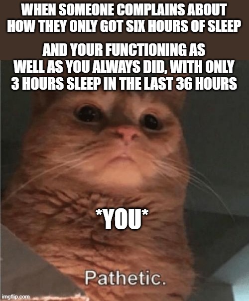 "Based on a true story." At least, the second half is. | WHEN SOMEONE COMPLAINS ABOUT HOW THEY ONLY GOT SIX HOURS OF SLEEP; AND YOUR FUNCTIONING AS WELL AS YOU ALWAYS DID, WITH ONLY 3 HOURS SLEEP IN THE LAST 36 HOURS; *YOU* | image tagged in pathetic cat,no sleep,pathetic,you,annoying people,sleep deprivation creations | made w/ Imgflip meme maker