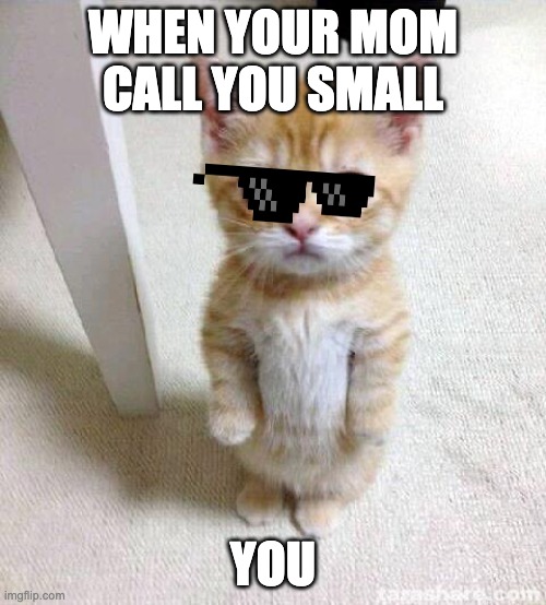 Cute Cat | WHEN YOUR MOM CALL YOU SMALL; YOU | image tagged in memes,cute cat | made w/ Imgflip meme maker
