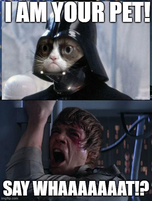 Is this how the scene went? | I AM YOUR PET! SAY WHAAAAAAAT!? | image tagged in i am your father,grumpy cat,wrong,crazy,memory fail | made w/ Imgflip meme maker