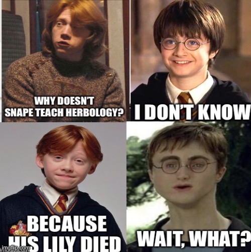 Why isn’t Snape a herbology teacher? | image tagged in snape,harry potter,funny | made w/ Imgflip meme maker