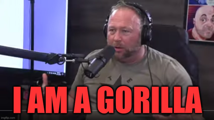 Alex Gorilla Jones | I AM A GORILLA | image tagged in alex jones,gorilla,harambe | made w/ Imgflip meme maker