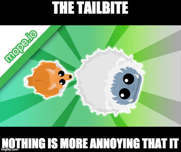 The tailbite  <o: >>> <O: | THE TAILBITE; NOTHING IS MORE ANNOYING THAT IT | image tagged in tail,bite | made w/ Imgflip meme maker