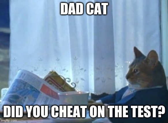 I Should Buy A Boat Cat | DAD CAT; DID YOU CHEAT ON THE TEST? | image tagged in memes,i should buy a boat cat | made w/ Imgflip meme maker
