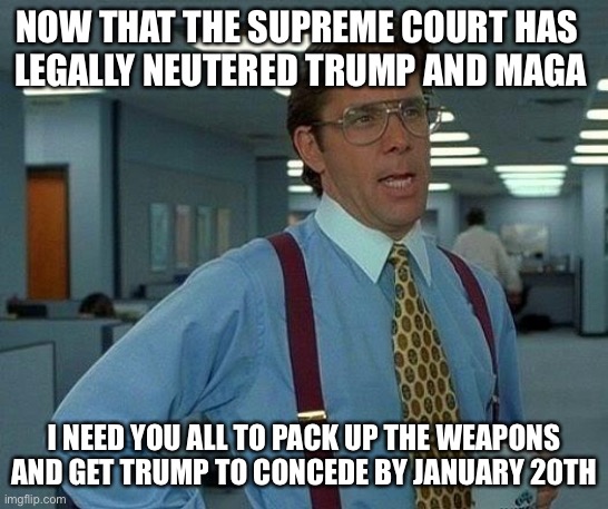 Nothing left to do but criminal acts of Terrorism | NOW THAT THE SUPREME COURT HAS  
LEGALLY NEUTERED TRUMP AND MAGA; I NEED YOU ALL TO PACK UP THE WEAPONS AND GET TRUMP TO CONCEDE BY JANUARY 20TH | image tagged in donald trump,maga,supreme court,rejected,joe biden,president | made w/ Imgflip meme maker