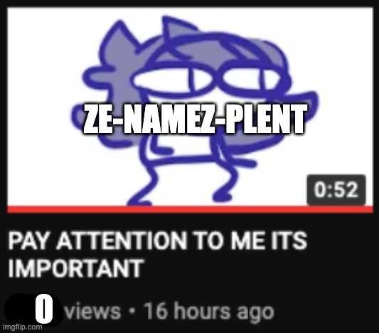Pay attention to me its important | ZE-NAMEZ-PLENT | image tagged in pay attention to me its important | made w/ Imgflip meme maker