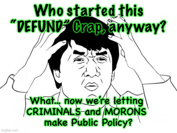 Jackie Chan WTF Meme | Who started this “DEFUND” Crap, anyway? What... now we’re letting 
CRIMINALS and MORONS 
make Public Policy? | image tagged in memes,jackie chan wtf | made w/ Imgflip meme maker