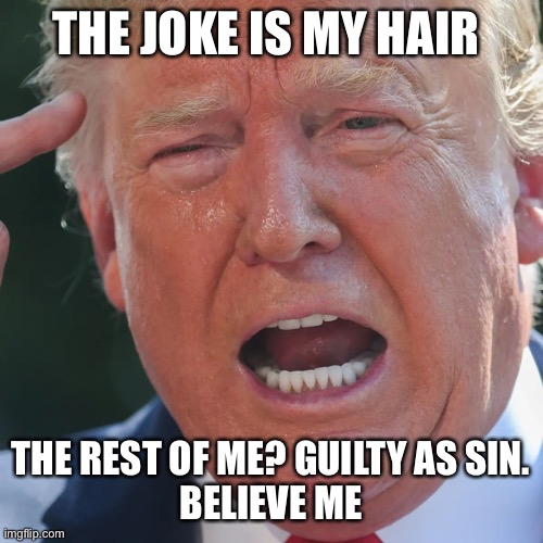 THE JOKE IS MY HAIR THE REST OF ME? GUILTY AS SIN.
BELIEVE ME | made w/ Imgflip meme maker