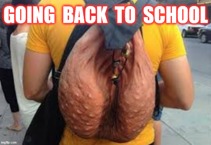 GOING  BACK  TO  SCHOOL | made w/ Imgflip meme maker