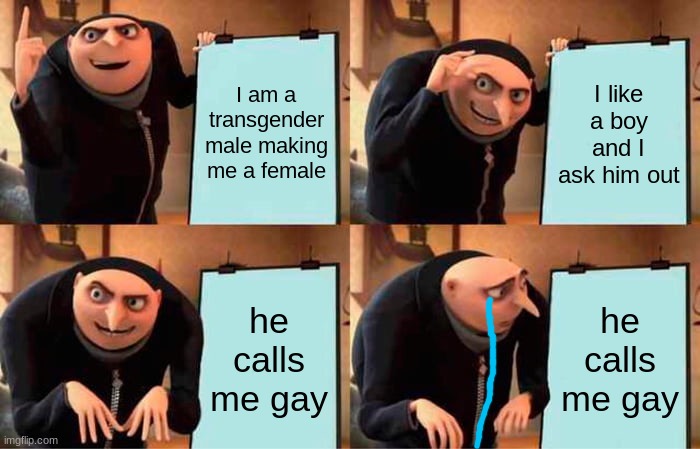 how I expected asking out my boyfriend to go | I am a transgender male making me a female; I like a boy and I ask him out; he calls me gay; he calls me gay | image tagged in memes,gru's plan | made w/ Imgflip meme maker