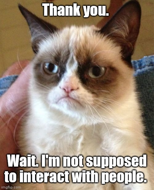 Grumpy Cat Meme | Thank you. Wait. I'm not supposed to interact with people. | image tagged in memes,grumpy cat | made w/ Imgflip meme maker