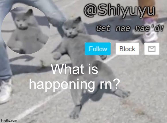. | What is happening rn? | image tagged in wat you want i'm doing a fucking nae nae | made w/ Imgflip meme maker