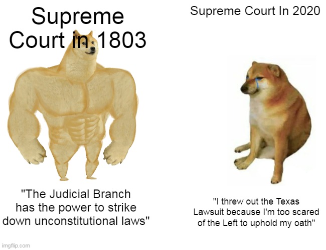 Buff Doge vs. Cheems | Supreme Court in 1803; Supreme Court In 2020; "The Judicial Branch has the power to strike down unconstitutional laws"; "I threw out the Texas Lawsuit because I'm too scared of the Left to uphold my oath" | image tagged in memes,buff doge vs cheems | made w/ Imgflip meme maker