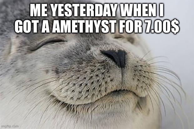 Satisfied Seal Meme | ME YESTERDAY WHEN I GOT A AMETHYST FOR 7.00$ | image tagged in memes,satisfied seal | made w/ Imgflip meme maker