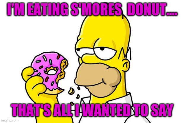 Homer Simpson Donut | I'M EATING S'MORES  DONUT.... THAT'S ALL I WANTED TO SAY | image tagged in homer simpson donut | made w/ Imgflip meme maker