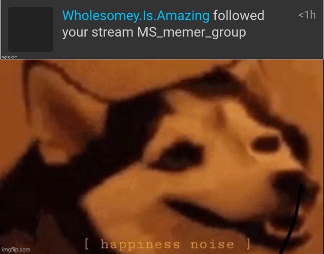 Boi took the screenshot btw | image tagged in happiness noise | made w/ Imgflip meme maker