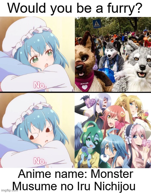 I nearly turned into a furry :I | Would you be a furry? Anime name: Monster Musume no Iru Nichijou | image tagged in mei no,no,monster musume no iru nichijou,memes,animeme,bruh | made w/ Imgflip meme maker