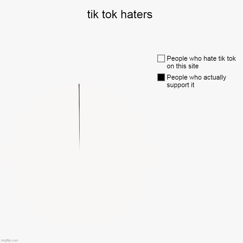 tik tok haters | People who actually support it, People who hate tik tok on this site | image tagged in charts,pie charts | made w/ Imgflip chart maker