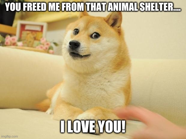 Doge 2 | YOU FREED ME FROM THAT ANIMAL SHELTER.... I LOVE YOU! | image tagged in memes,doge 2 | made w/ Imgflip meme maker