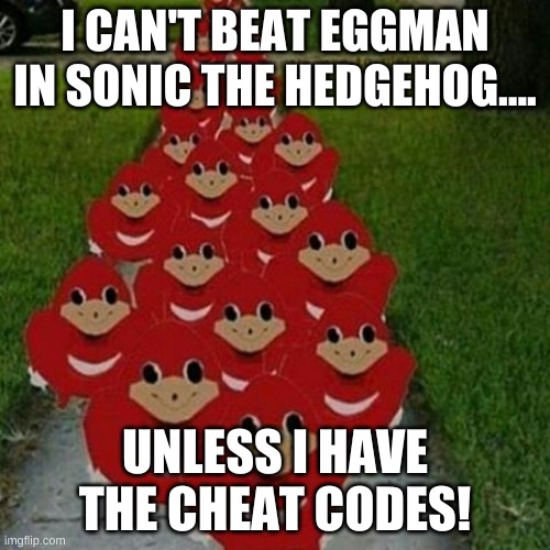 Ugandan knuckles army cheat code | I CAN'T BEAT EGGMAN IN SONIC THE HEDGEHOG.... UNLESS I HAVE THE CHEAT CODES! | image tagged in ugandan knuckles army | made w/ Imgflip meme maker