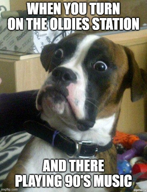 90s | WHEN YOU TURN ON THE OLDIES STATION; AND THERE PLAYING 90'S MUSIC | image tagged in funny dog | made w/ Imgflip meme maker