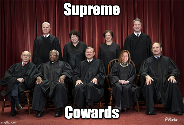 Supreme Cowards offer No Justice | Supreme; Cowards | image tagged in stop the steal,supreme court,2020 election,biden,election fraud,texas lawsuit | made w/ Imgflip meme maker