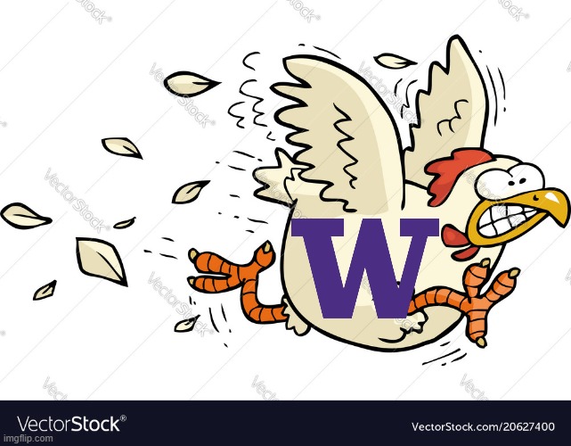 Washington Huskies chicken out | image tagged in washington huskies,college football,oregon ducks | made w/ Imgflip meme maker