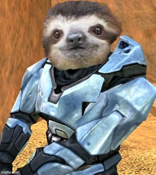 Sloth Church (2) | image tagged in sloth church 2 | made w/ Imgflip meme maker