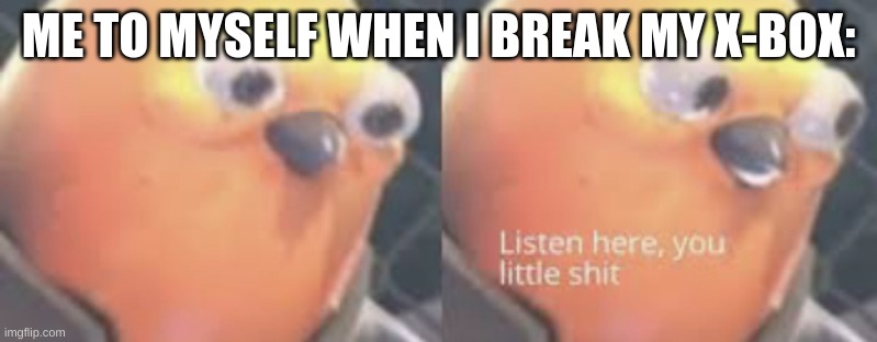 This has never happened to me beofre but if it did I would probably be thinking what the bird said. | ME TO MYSELF WHEN I BREAK MY X-BOX: | image tagged in listen here you little shit bird | made w/ Imgflip meme maker