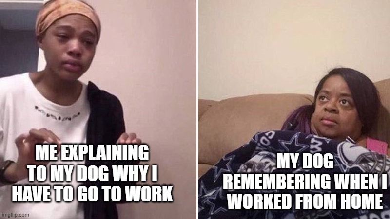 Explaining to my dog why I have to go to work | MY DOG REMEMBERING WHEN I WORKED FROM HOME; ME EXPLAINING TO MY DOG WHY I HAVE TO GO TO WORK | image tagged in me explaining to my mom | made w/ Imgflip meme maker