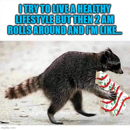 I'm so weak... | I TRY TO LIVE A HEALTHY LIFESTYLE BUT THEN 2 AM ROLLS AROUND AND I'M LIKE... | image tagged in little debbie,memes,dieting,funny,animals,christmas trees | made w/ Imgflip meme maker