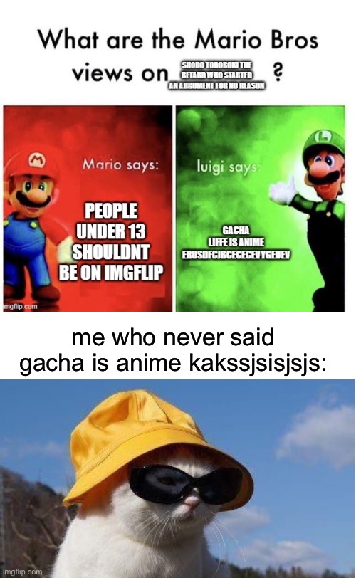 and just to clarify we both are at fault for starting an argument | me who never said gacha is anime kakssjsisjsjs: | image tagged in blank white template | made w/ Imgflip meme maker