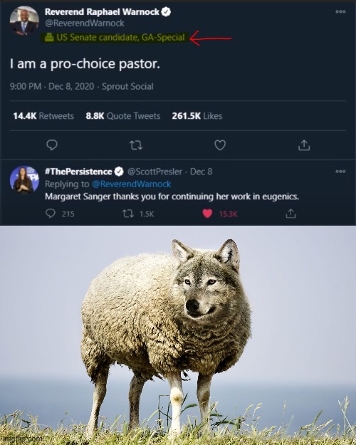 Oxymoron | image tagged in wolf in sheep's clothing,raphael warnock | made w/ Imgflip meme maker