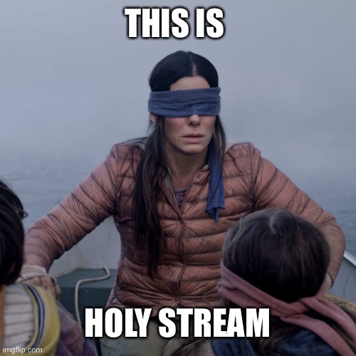 Bird Box |  THIS IS; HOLY STREAM | image tagged in memes,bird box | made w/ Imgflip meme maker