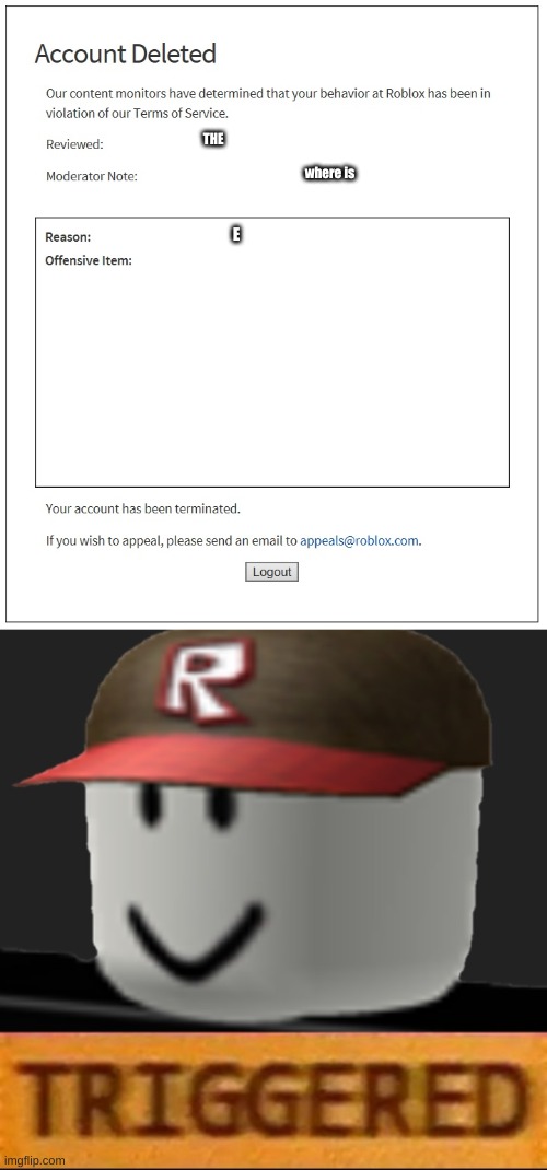 the dumbest way to get banned |  THE; where is; E | image tagged in banned from roblox,roblox triggered | made w/ Imgflip meme maker