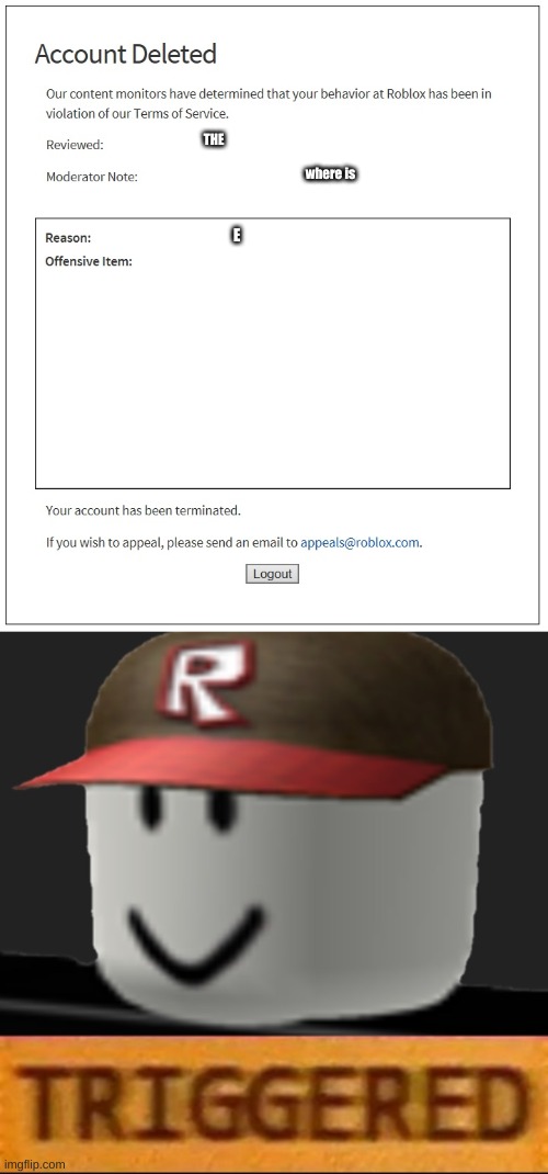 the dumbest way to get banned | THE; where is; E | image tagged in banned from roblox,roblox triggered | made w/ Imgflip meme maker