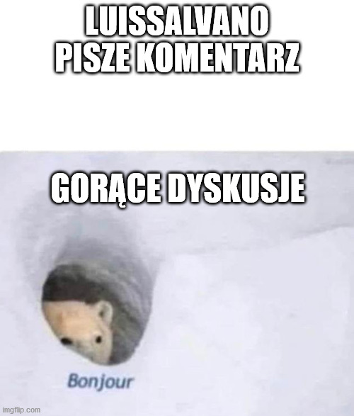 Bonjour | LUISSALVANO PISZE KOMENTARZ; GORĄCE DYSKUSJE | image tagged in bonjour | made w/ Imgflip meme maker