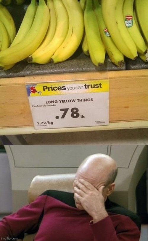 Long yellow things? You can do better than that, right? | image tagged in memes,captain picard facepalm,funny,you had one job just the one,stupid signs | made w/ Imgflip meme maker