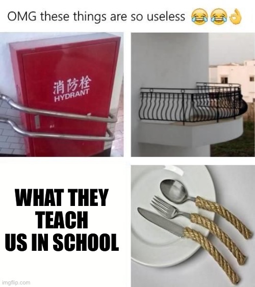 Middle school be like | WHAT THEY TEACH US IN SCHOOL | image tagged in useless things | made w/ Imgflip meme maker