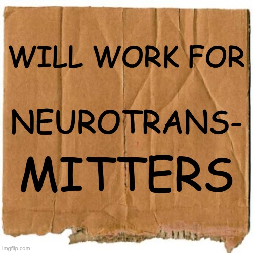 Will work for neurotransmitters. | WILL WORK FOR; NEUROTRANS-; MITTERS | image tagged in homeless cardboard | made w/ Imgflip meme maker