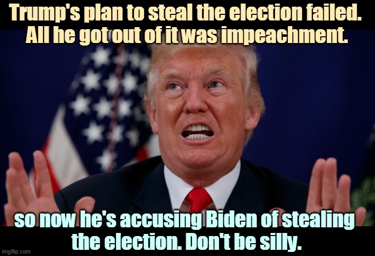 Unfortunately for Trump, we're still a democracy. The vote still matters, and Biden won it. | Trump's plan to steal the election failed. 
All he got out of it was impeachment. so now he's accusing Biden of stealing 
the election. Don't be silly. | image tagged in trump dilated hands up showing teeth,biden,winner,trump,bad,loser | made w/ Imgflip meme maker