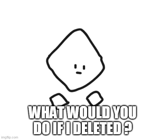 WHAT WOULD YOU DO IF I DELETED ? | made w/ Imgflip meme maker