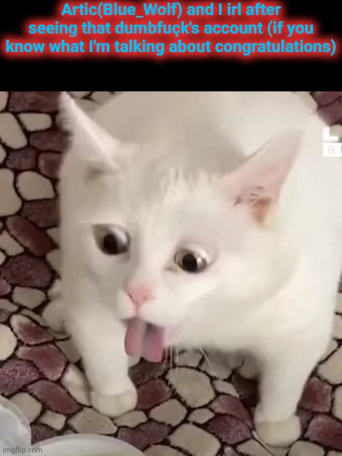 cat gag | Artic(Blue_Wolf) and I irl after seeing that dumbfuçk's account (if you know what I'm talking about congratulations) | made w/ Imgflip meme maker