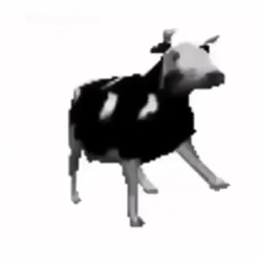 polish cow Blank Meme Template