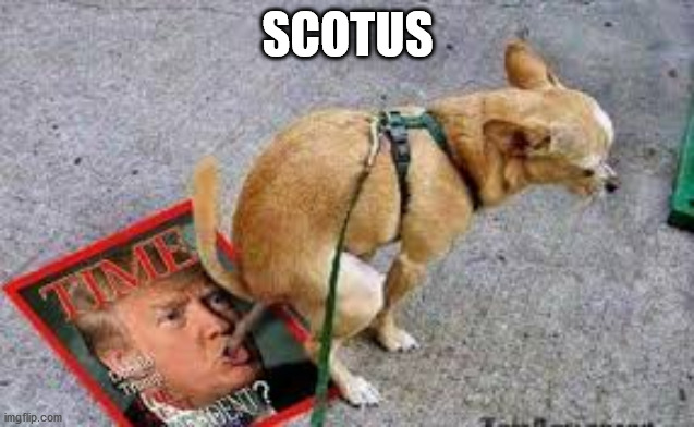 A Series Of Unfortuate Events | SCOTUS | image tagged in trump dog poop,scotus,denied,lawsuit,reality check,skeptical chihuahua | made w/ Imgflip meme maker