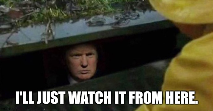 Bunker Trump | I'LL JUST WATCH IT FROM HERE. | image tagged in bunker trump | made w/ Imgflip meme maker